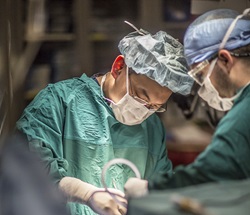 Dr. Lee